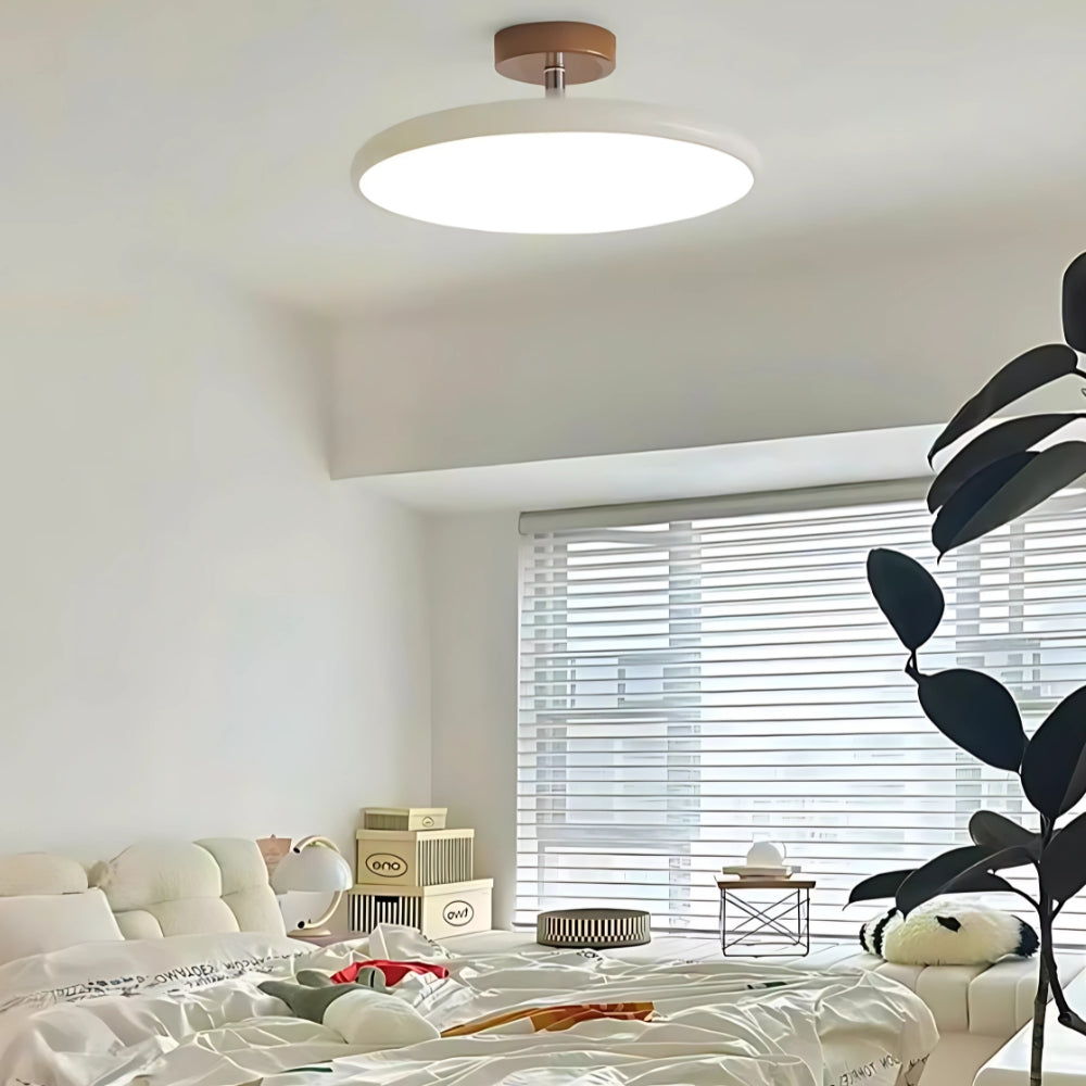 Minimalist Height-Adjustable Ceiling Light