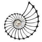 Stylish Shell Home Wall Light