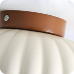 Minimalist Chrome-Plated Ceiling Light Design