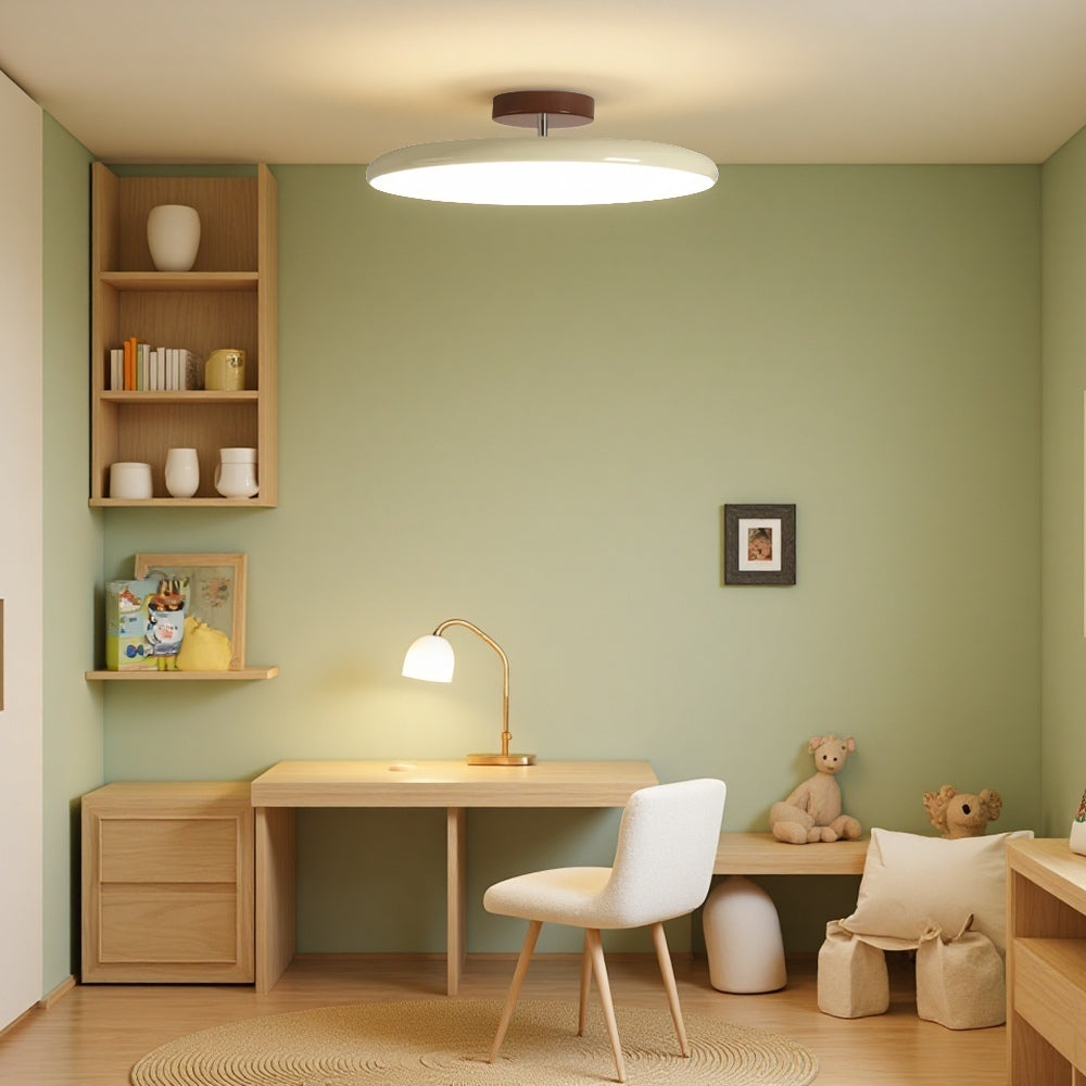 Minimalist Height-Adjustable Ceiling Light