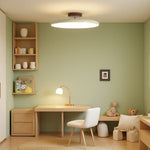 Minimalist Height-Adjustable Ceiling Light